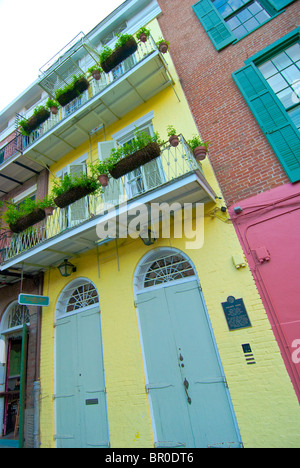 Faulkner Haus im Piraten Gasse des French Quarter, New Orleans, Louisiana, USA Stockfoto