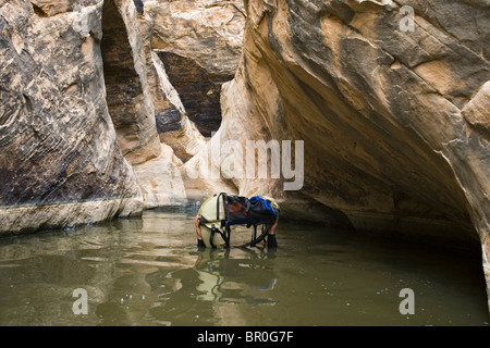 Mann mit Kopf waten untergetaucht Pack über Wasser halten, beim Abstieg Wüste Canyon, San Rafael Swell, Utah. Stockfoto