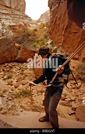 Mann Abseilen in Wüste Schlucht, Robbers Roost, Utah Stockfoto