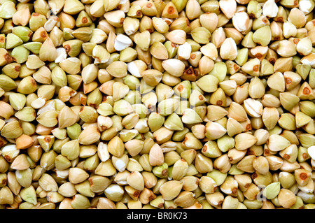 Schuss von Buchweizen hautnah Stockfoto