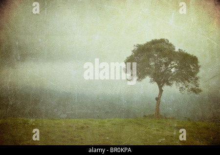 Grunge Bild eines Baumes auf einem Vintage-Papier Stockfoto