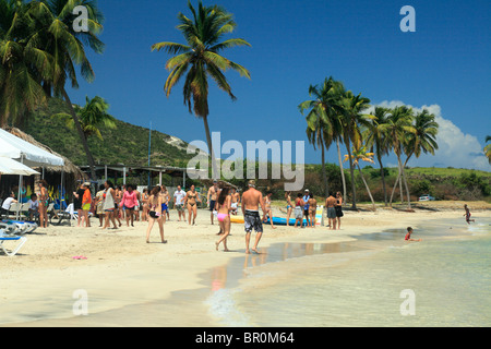 Kleine Muschel Bay und Turtle Beach Bereich in St. Kitts, Karibik Stockfoto
