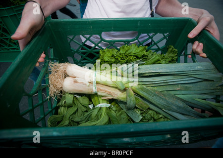 Freiwillige sammeln gespendeten Produkte vom Union Square Park Greenmarket in New York für die Auslieferung an Programme Dienst an den Armen Stockfoto