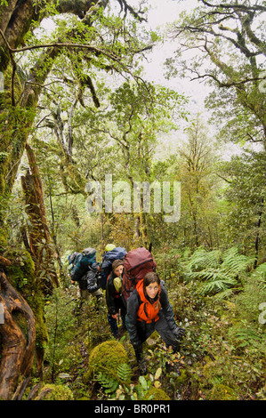 Neuseeland, Südinsel. Rucksacktouristen Lydia Ode und Mike Kimbrel im New Zealand Wald. MR. Stockfoto