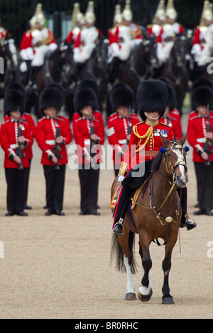 "Roly" Walker, Offizier, Kommandeur der Parade. "Trooping die Farbe" 2010 Stockfoto