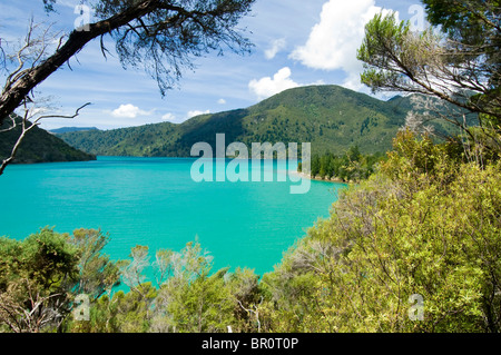 Neuseeland, Südinsel, Marlborough Sounds. Blick auf Nydia Bucht von Nydia Track. Stockfoto