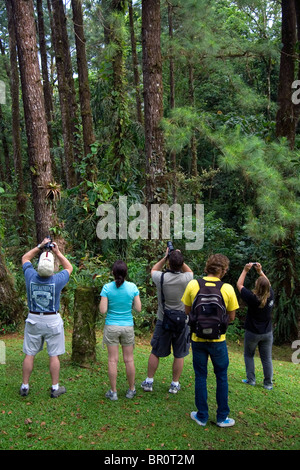 Touristen-Vogelbeobachtung in Arenal Volcano National Park in der Nähe von La Fortuna, San Carlos, Costa Rica. Stockfoto