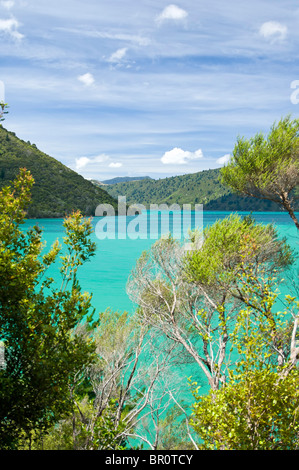 Neuseeland, Südinsel, Marlborough Sounds. Blick auf Nydia Bucht von Nydia Track. Stockfoto