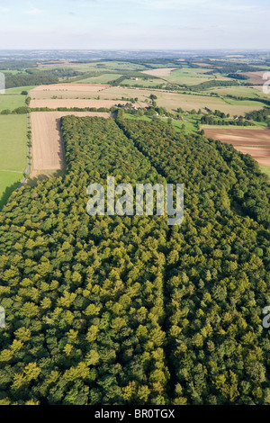 Laubwald in den Cotswolds bei Bournes Torheit, Snowshill Hill, Gloucestershire aus dem Westen Stockfoto