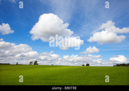 Blauer Himmel und weiße Wolken über einem grünen Feld in Leicestershire, Großbritannien Stockfoto