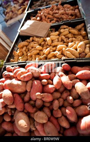 Bio-Bauern-Markt, Vielfalt der Kartoffel zu verkaufen Stockfoto