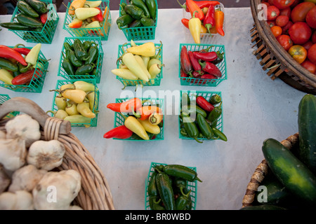 Jalapeno Pfeffer Chile gemischt würzigen heißen grün rot gelb Körbe für Verkauf-Bauernmarkt Stockfoto