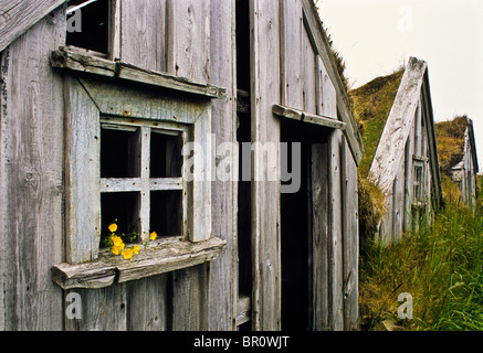 Close up vintage Replica des Isländischen sod, alte Rasen dach haus, für einen Film im Osten von Island, Europa, abstrakte Isländische außen gesetzt Stockfoto