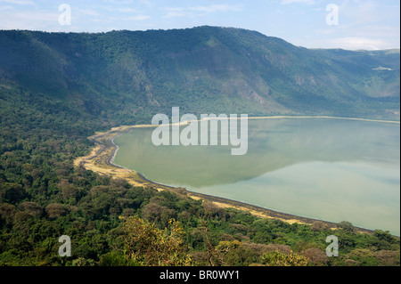 Empekaai-Krater Ngorongoro Conservation Area, Tansania Stockfoto