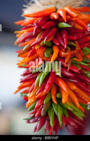 Chile Girlanden Dekoration hängend getrocknet Santa Fe, New Mexico, traditionellen Herbst Anordnung Strang der Paprika Stockfoto