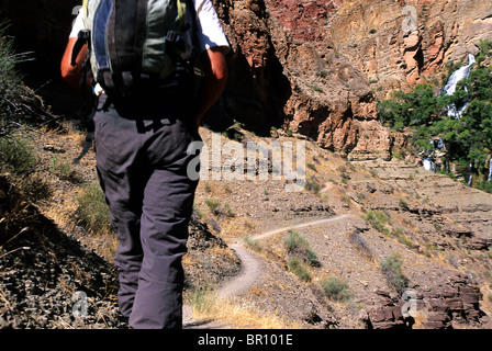 Teilkörper-Schuss des Mannes wandern nach Thunder River Falls, Grand Canyon Nationalpark in Arizona. Stockfoto