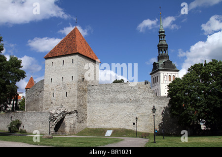 Neitsitorn, die Jungfrau-Turm an der Stadtmauer in Tallinn, Estland Stockfoto