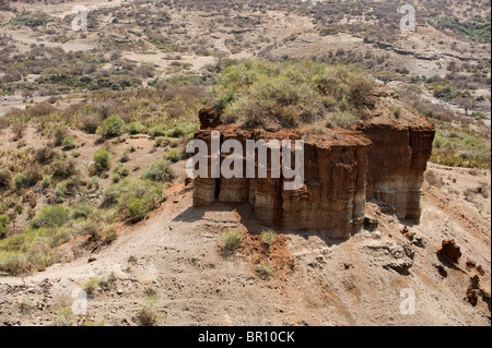 Olduvai-Schlucht, Hominiden Website arbeitete von Louis Leakey, Ngorongoro Conservation Area, Tansania Stockfoto