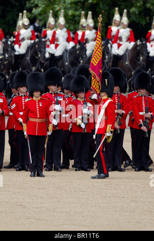 Der Fähnrich der Farbe hat die Flagge erhalten. "Trooping die Farbe" 2010 Stockfoto