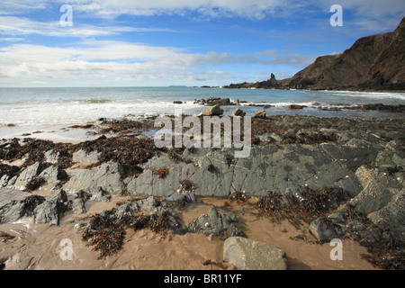 Hartland Quay, North Devon, England, UK Stockfoto