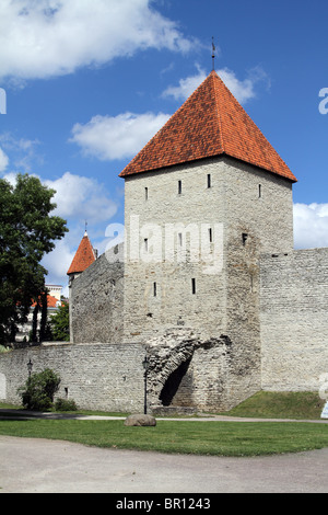 Neitsitorn, die Jungfrau-Turm an der Stadtmauer in Tallinn, Estland Stockfoto