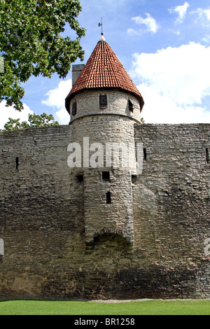 Turm an der Stadtmauer in Tallinn, Estland Stockfoto