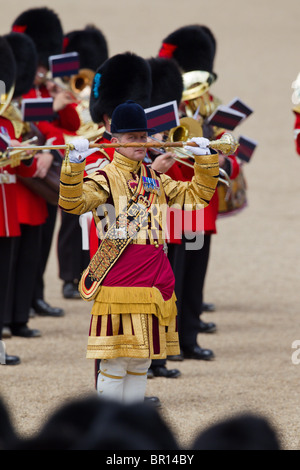 Tambourmajor und Musiker der Massed Bands. "Trooping die Farbe" 2010 Stockfoto