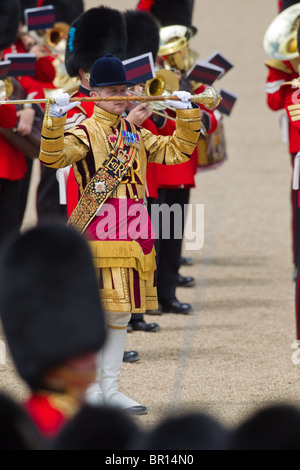 Tambourmajor und Musiker der Massed Bands. "Trooping die Farbe" 2010 Stockfoto