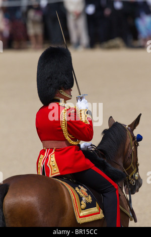 "Roly" Walker, Offizier, Kommandeur der Parade. "Trooping die Farbe" 2010 Stockfoto