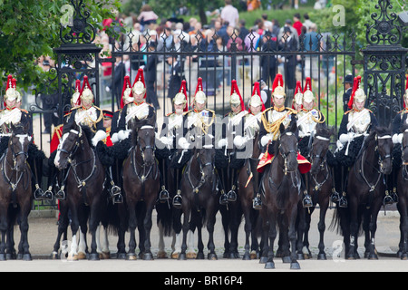 Blues and Royals - Household Cavalry. "Trooping die Farbe" 2010 Stockfoto