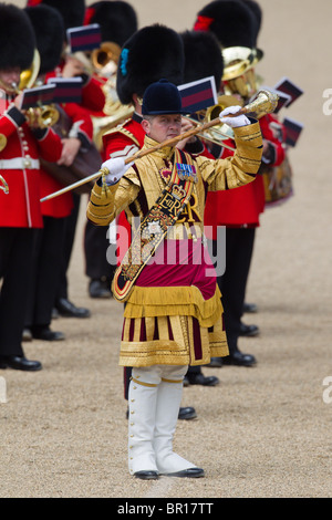 Tambourmajor und Musiker der Massed Bands. "Trooping die Farbe" 2010 Stockfoto