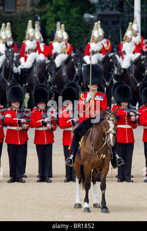 "Roly" Walker, Offizier, Kommandeur der Parade. "Trooping die Farbe" 2010 Stockfoto