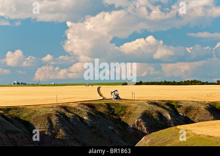 Ein Ölfeld-Bohrschwengels sieht man am Rand von einem Weizenfeld und Badlands Gelände im Großraum Drumheller, Alberta, Kanada. Stockfoto