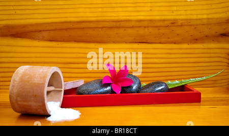 Asiatisches Spa mit Massage Stones, Badesalz, Plumeria Blume und Aloe Vera-Pflanze-Stiele Stockfoto