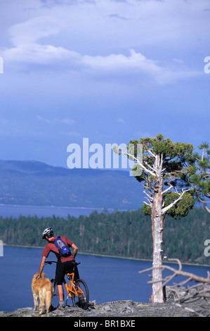 Ein Mann auf einem Mountainbike Haustiere seinen Hund während der Einnahme in der Ansicht über Lake Tahoe, Kalifornien. Stockfoto