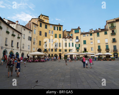 Die Piazza Amfiteatro in Lucca, Toskana, Italien wurde auf dem Fundament eines römischen Amphitheaters, daher die ovale Form gebaut. Stockfoto