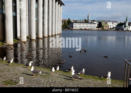 Die Innenstadt von Reykjavik über Tjoernin See, Reykjavik, Island Stockfoto