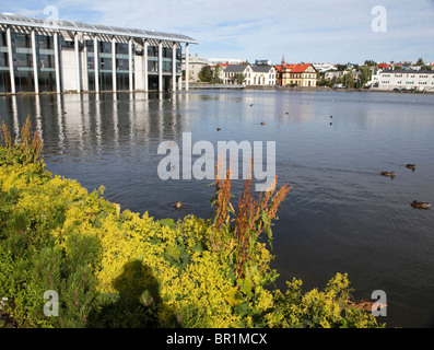 Die Innenstadt von Reykjavik über Tjoernin See, Reykjavik, Island Stockfoto