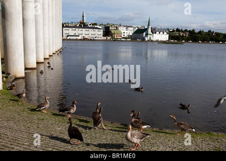 Die Innenstadt von Reykjavik über Tjoernin See, Reykjavik, Island Stockfoto