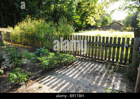 Bauerngarten mit Holzzaun und Blockhaus im Hintergrund Stockfoto