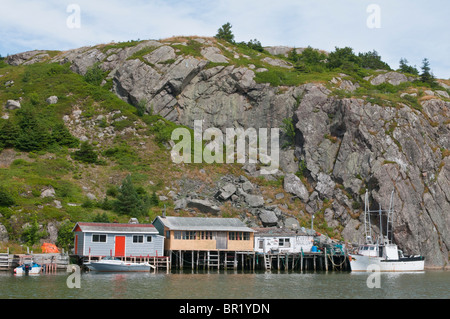 Bootshäuser, Quidi Vidi Hafen, St. John's, Neufundland, Kanada Stockfoto