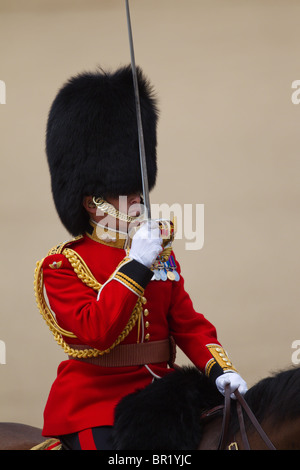 "Roly" Walker, Offizier, Kommandeur der Parade. "Trooping die Farbe" 2010 Stockfoto