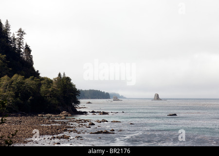 Felsiger Strand & bewaldete Landzungen im Nebel mit entfernten ungewöhnlich große Offshore-Felsformationen auf Nord Küste der Olympic Halbinsel WA Stockfoto