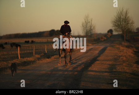 Ein Gaucho (Cowboy) auf einer staubigen Straße auf ein Gaucho-Ranch, Argentinien Stockfoto