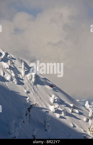 Person, Skifahren auf Bergrücken mit Schnee bedeckt Bäume, Valhalla Touring-Berghütte, Britisch-Kolumbien, Kanada Stockfoto