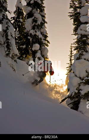 Mann, Ski, Valhalla Mountain Touring Lodge, Britisch-Kolumbien, Kanada Stockfoto