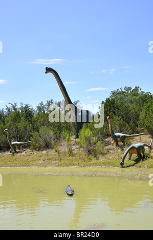 Brachiosaurus, Dinosaur World, Glen Rose, Texas, USA Stockfoto