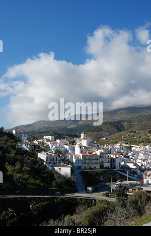 Ansicht der weiß getünchten Dorf (Pueblo Blanco), Sedella, Costa Del Sol, Provinz Malaga, Andalusien, Südspanien, Westeuropa. Stockfoto