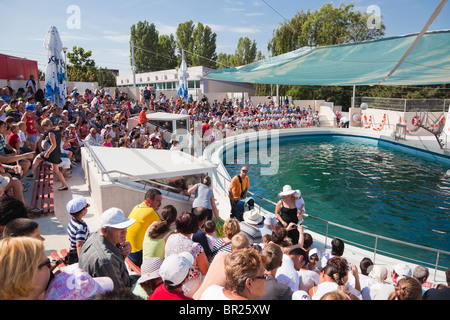 Zeigen Sie an das Delphinarium in Constanta, Rumänien. Stockfoto