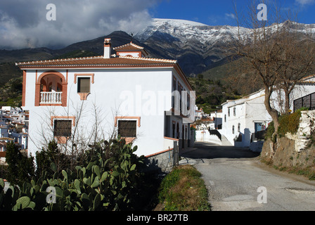 Reihenhäuser mit Schnee bedeckt Berge nach hinten, Sedella, Costa Del Sol, Provinz Malaga, Andalusien, Südspanien, Westeuropa. Stockfoto